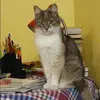 Отзыв от Жанна Горелова